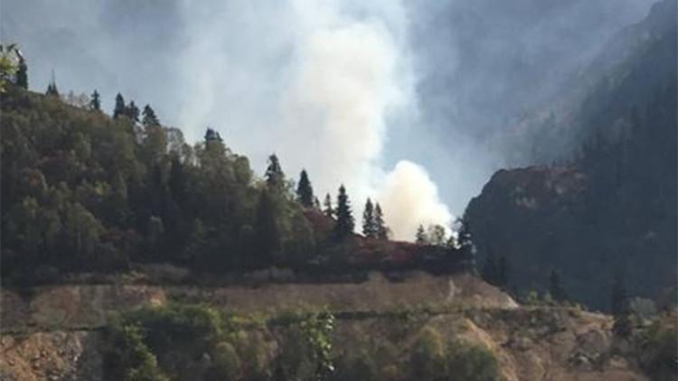 Artvin’in Murgul ilçesinde örtü yangını