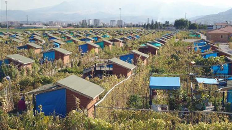 Salgın günlerini hobi bahçelerinde geçiriyorlar
