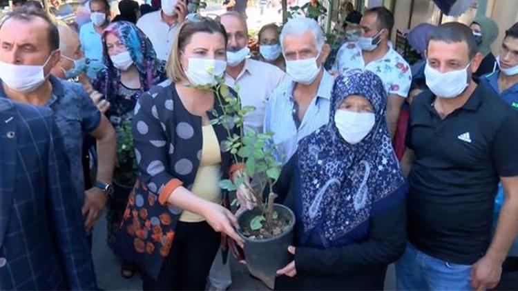 İzmit’te yarışma için gül fidanı dağıtıldı