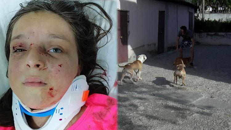 Tuğba'nın saldırıya uğradığı mahallede pitbull korkusu sürüyor