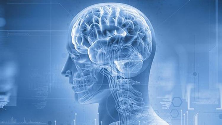 Bilim insanları açıkladı! Kafatasında yeni bir organ
