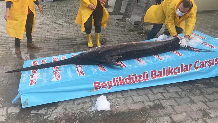 'Böylesi uzun zamandır yoktu'