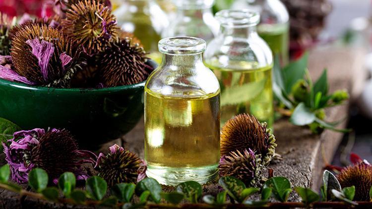 Fitoterapi, Çocuk Sahibi Olmaya Yardımcı Olur mu?
