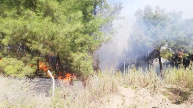 Son dakika... İskenderun'da orman yangını