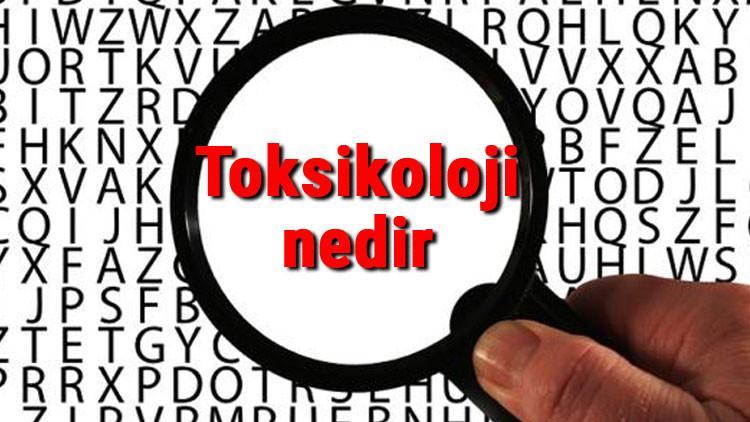 Toksikoloji nedir ve neyi inceler? Toksikoloji bilimi hakkında kısaca bilgiler