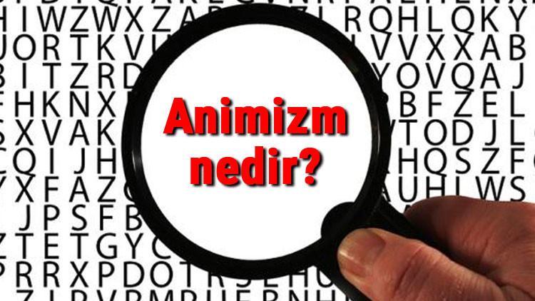 Animizm nedir? Canlandırmacılık ne demek? Felsefede Animizm akımı özellikleri, kurucusu ve temsilcileri