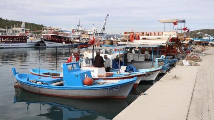 Seferihisar'da tsunami korkusu nedeniyle balıkçılar denize açılmıyor