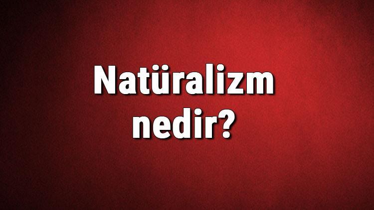 Natüralizm nedir? Doğalcılık ne demek? Felsefede Natüralizm akımı özellikleri, kurucusu ve temsilcileri