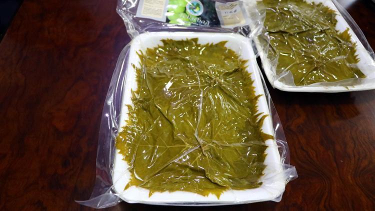 Filmlere bile konu oldu! Yapıncak üzümünün yaprağına tescil müjdesi