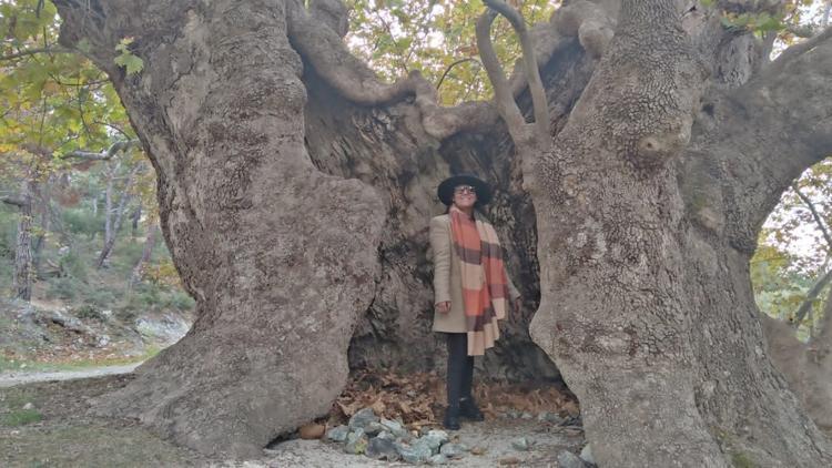 Çanakkale’nin saklı güzelliği: Elmacık Köyü ve Anıt Ağaçları