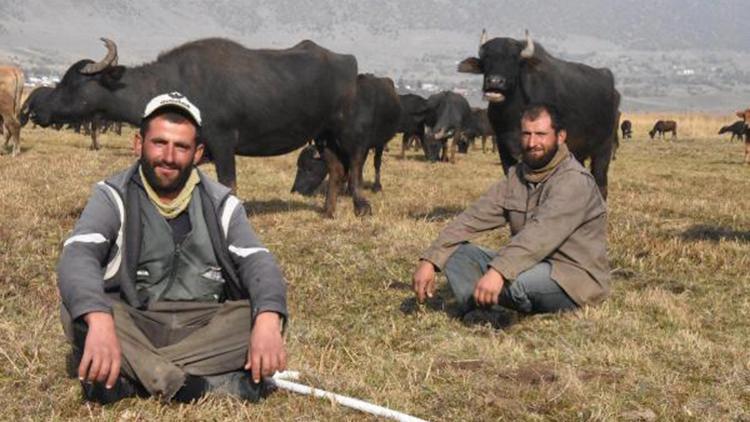 Sağır ve dilsiz 2 kardeş, 20 yıldır çobanlık yapıyor