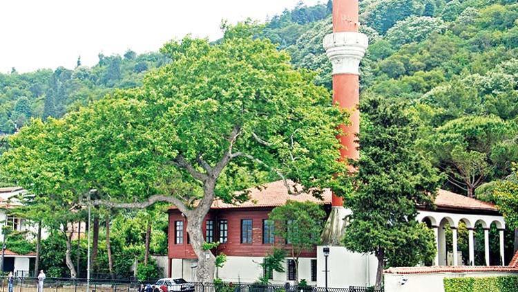 Kül olan 355 yıl... Vani Bey'in hikayesi