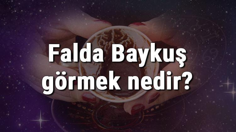 Falda Baykuş görmek nedir? Kahve falında baykuş görmenin anlamı