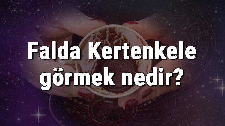 Falda Kertenkele görmek nedir? Kahve falında kertenkele görmenin anlamı