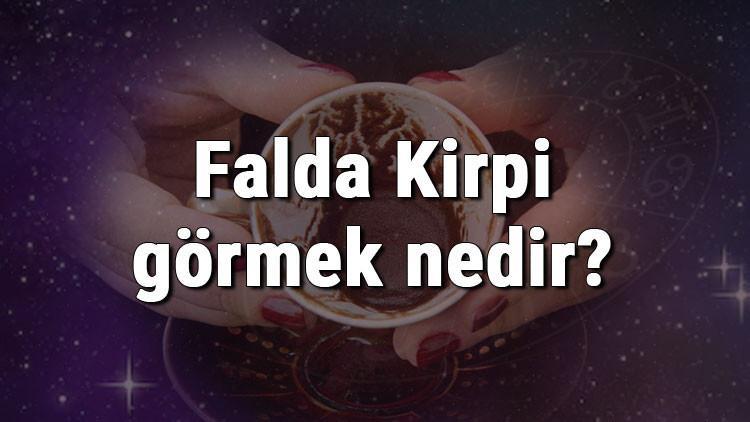 Falda Kirpi görmek nedir? Kahve falında kirpi görmenin anlamı
