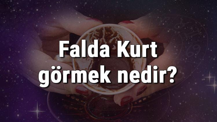 Falda Kurt görmek nedir? Kahve falında kurt görmenin anlamı
