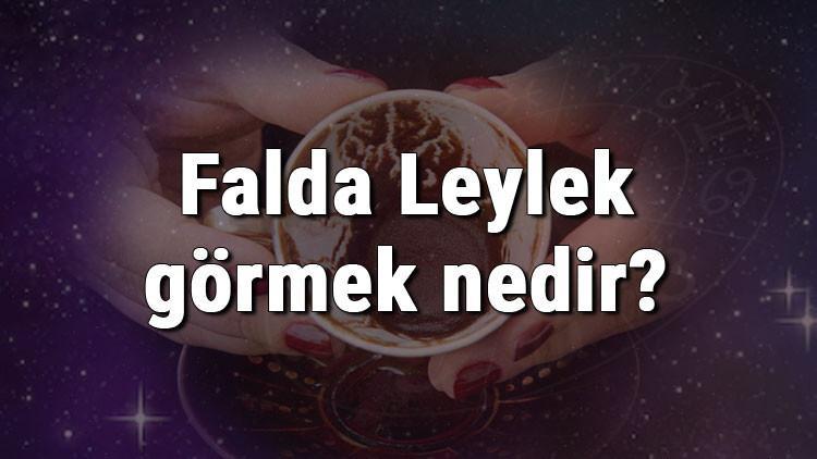 Falda Leylek görmek nedir? Kahve falında leylek görmenin anlamı