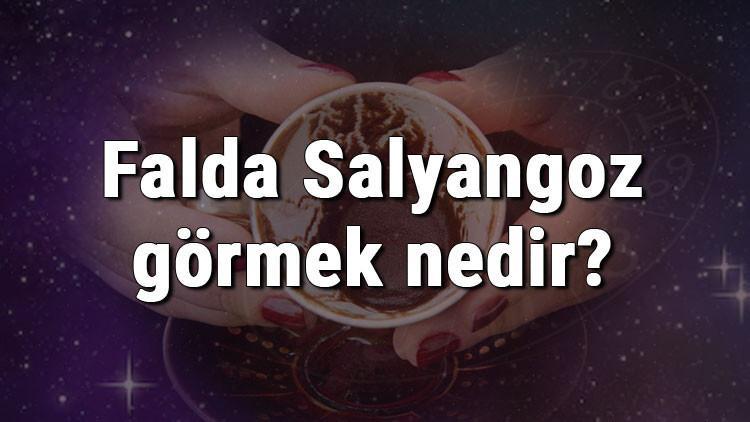 Falda Salyangoz görmek nedir? Kahve falında salyangoz görmenin anlamı