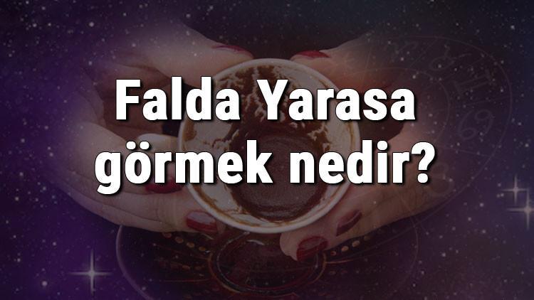 Falda Yarasa görmek nedir? Kahve falında yarasa görmenin anlamı