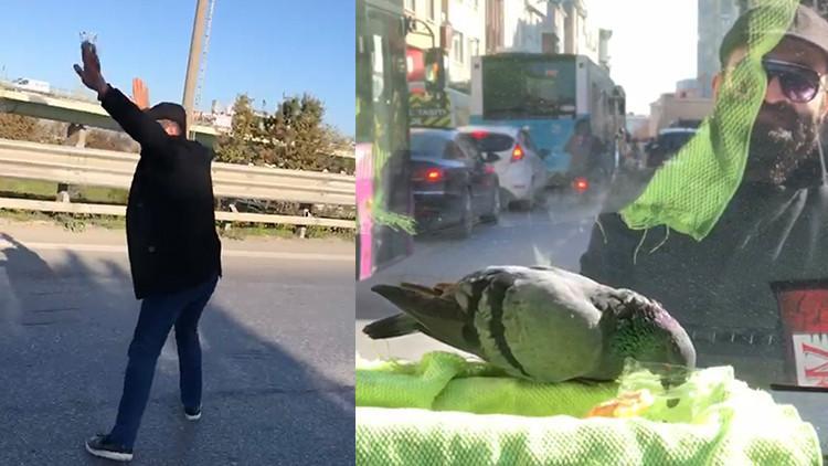 Ataşehir'de görür görmez yardıma koştu... Yaralı güvercini ezilmekten son anda kurtardı