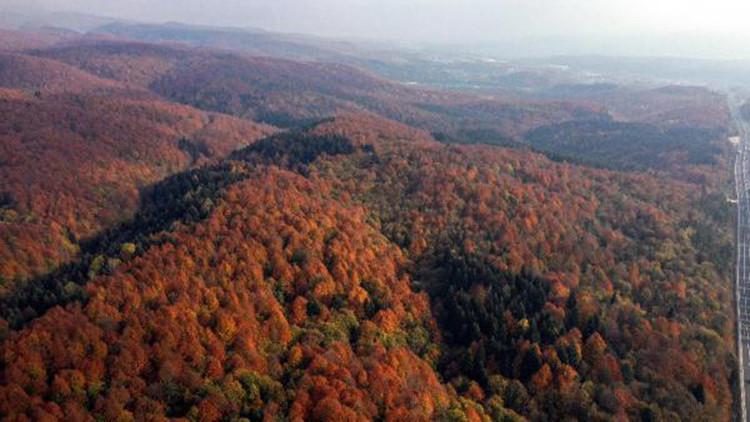 Bolu Dağı'nda sonbahar güzelliği