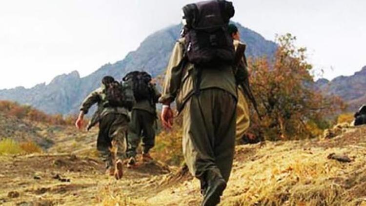 Bakanlık açıkladı İki PKKlı terörist teslim oldu