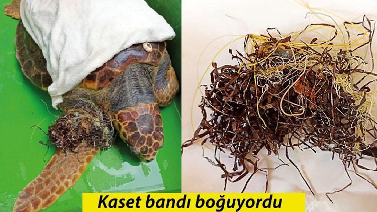 Bunu yapan insan!