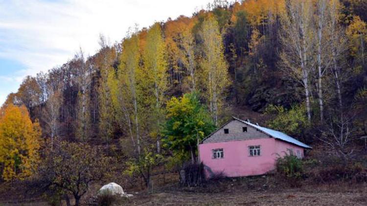 Muş'ta sonbaharın güzellikleri fotoğraf kareleriyle ölümsüzleştirildi