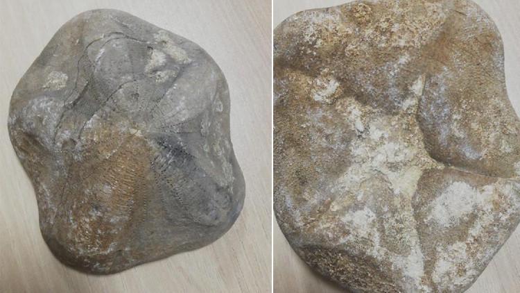 Çanakkale'de ele geçirildi! 4 milyon lira değerinde...