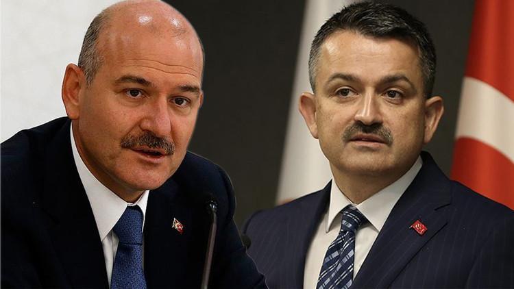Bakan Soylu'nun isteğine Bakan Pakdemirli'den yanıt: Hemen ilgilenelim