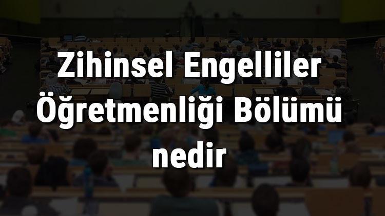 Zihinsel Engelliler Öğretmenliği Bölümü nedir ve mezunu ne iş yapar? Bölümü olan üniversiteler, dersleri ve iş imkanları