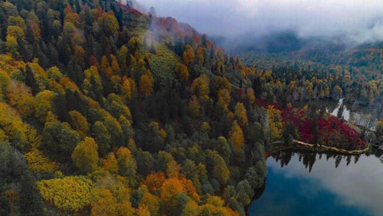 Artvin'de sonbahar güzelliği