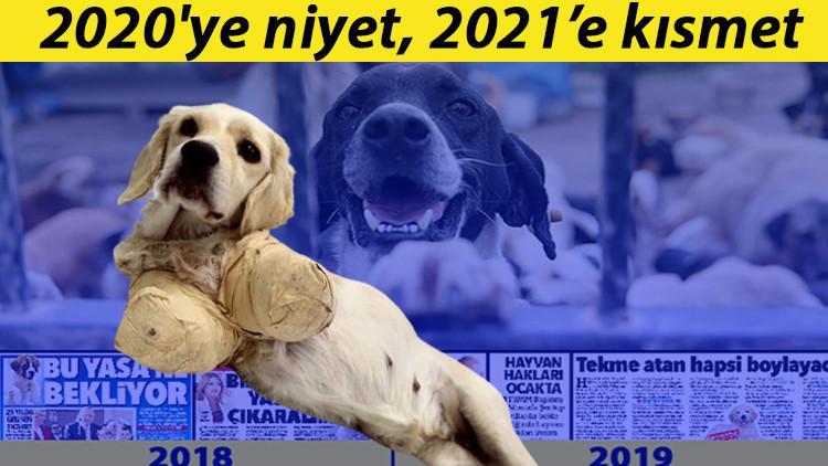 2020'ye niyet, 2021'e kısmet