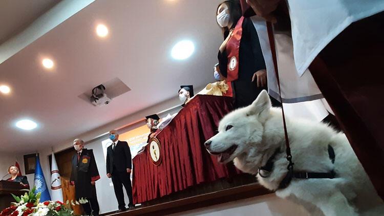 Ankarada Veteriner Fakültesi öğrencileri, mezuniyete tedavi ettikleri köpekle katıldı