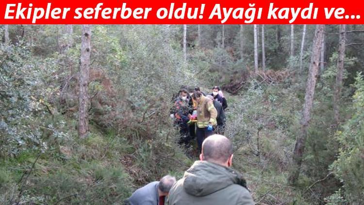 Ormanda kurtarma operasyonu! Ekipler seferber oldu
