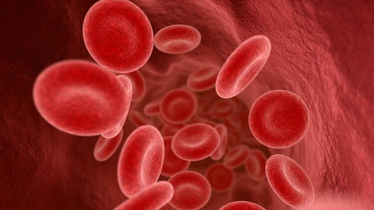 Kan grubu çeşidinin koronavirüsten koruyucu bir yönü var mı?
