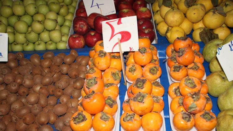 Bilecik'te şifa deposu cennet hurmasının hasadı başladı