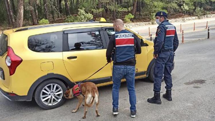 Muğla'da jandarmanın koronavirüs denetiminde ceza yağdı