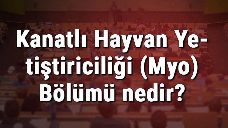 Kanatlı Hayvan Yetiştiriciliği (Myo) Bölümü nedir ve mezunu ne iş yapar? Bölümü olan üniversiteler, dersleri ve iş imkanları