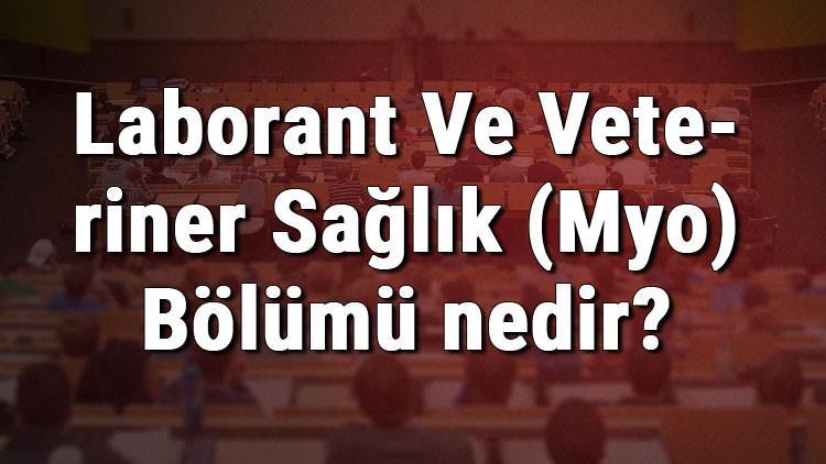 Laborant Ve Veteriner Sağlık (Myo) Bölümü nedir ve mezunu ne iş yapar? Bölümü olan üniversiteler, dersleri ve iş imkanları