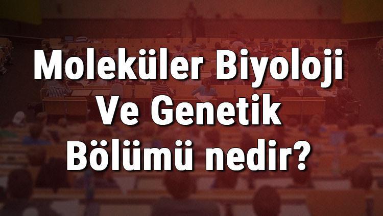 Moleküler Biyoloji Ve Genetik Bölümü nedir ve mezunu ne iş yapar? Bölümü olan üniversiteler, dersleri ve iş imkanları