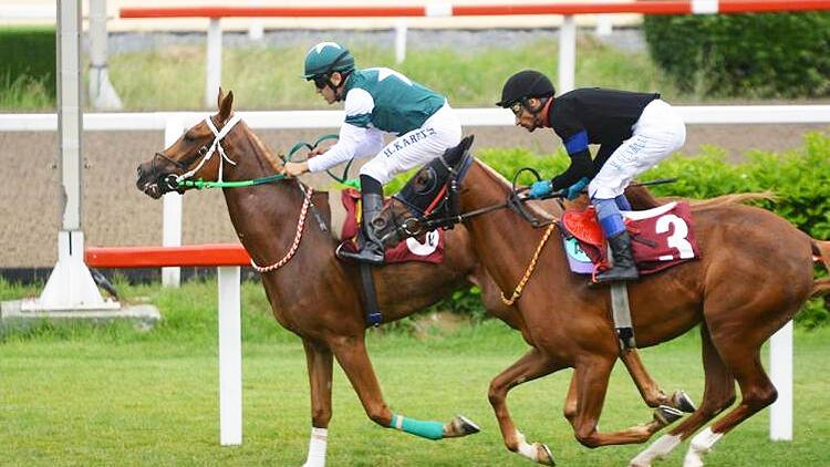 Bursa'da Yapılan Rahvan At Yarışları Nefes Kesti