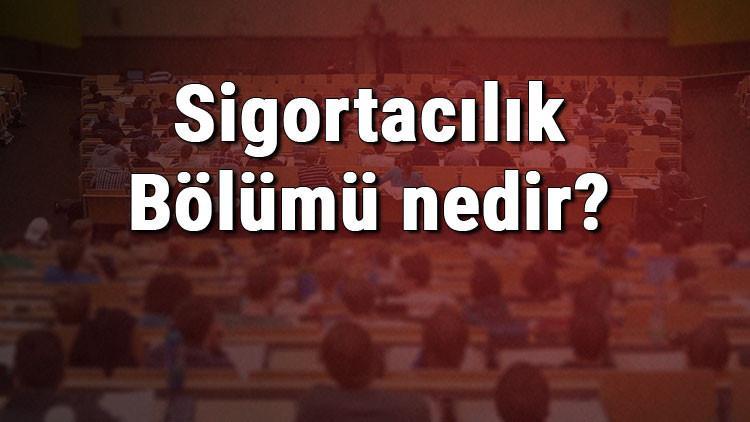 Sigortacılık Bölümü nedir ve mezunu ne iş yapar? Bölümü olan üniversiteler, dersleri ve iş imkanları