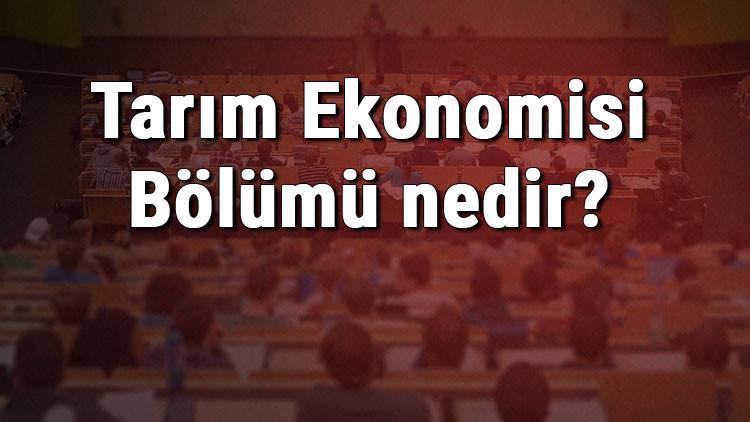 Tarım Ekonomisi Bölümü nedir ve mezunu ne iş yapar? Bölümü olan üniversiteler, dersleri ve iş imkanları