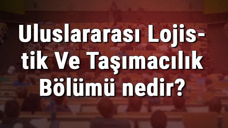 Uluslararası Lojistik Ve Taşımacılık Bölümü nedir ve mezunu ne iş yapar? Bölümü olan üniversiteler, dersleri ve iş imkanları