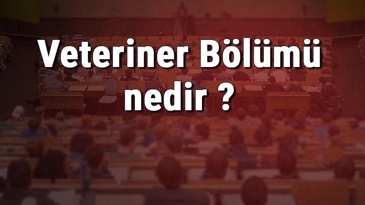 Veteriner Bölümü nedir ve mezunu ne iş yapar? Bölümü olan üniversiteler, dersleri ve iş imkanları