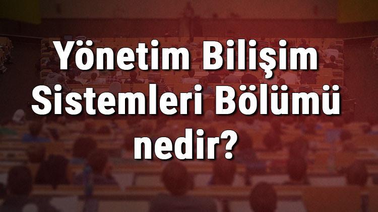 Yönetim Bilişim Sistemleri Bölümü nedir ve mezunu ne iş yapar? Bölümü olan üniversiteler, dersleri ve iş imkanları