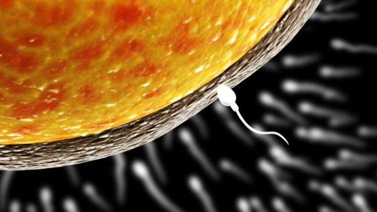 Sperm Yokluğu Çocuk Sahibi Olmaya Her Zaman Engel Değil