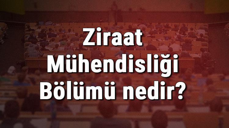 ziraat muhendisligi bolumu nedir ve mezunu ne is yapar bolumu olan universiteler dersleri ve is imkanlari