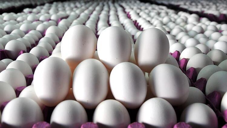 Tavuk yumurtası üretimi ekimde aylık bazda yüzde 5,7 arttı